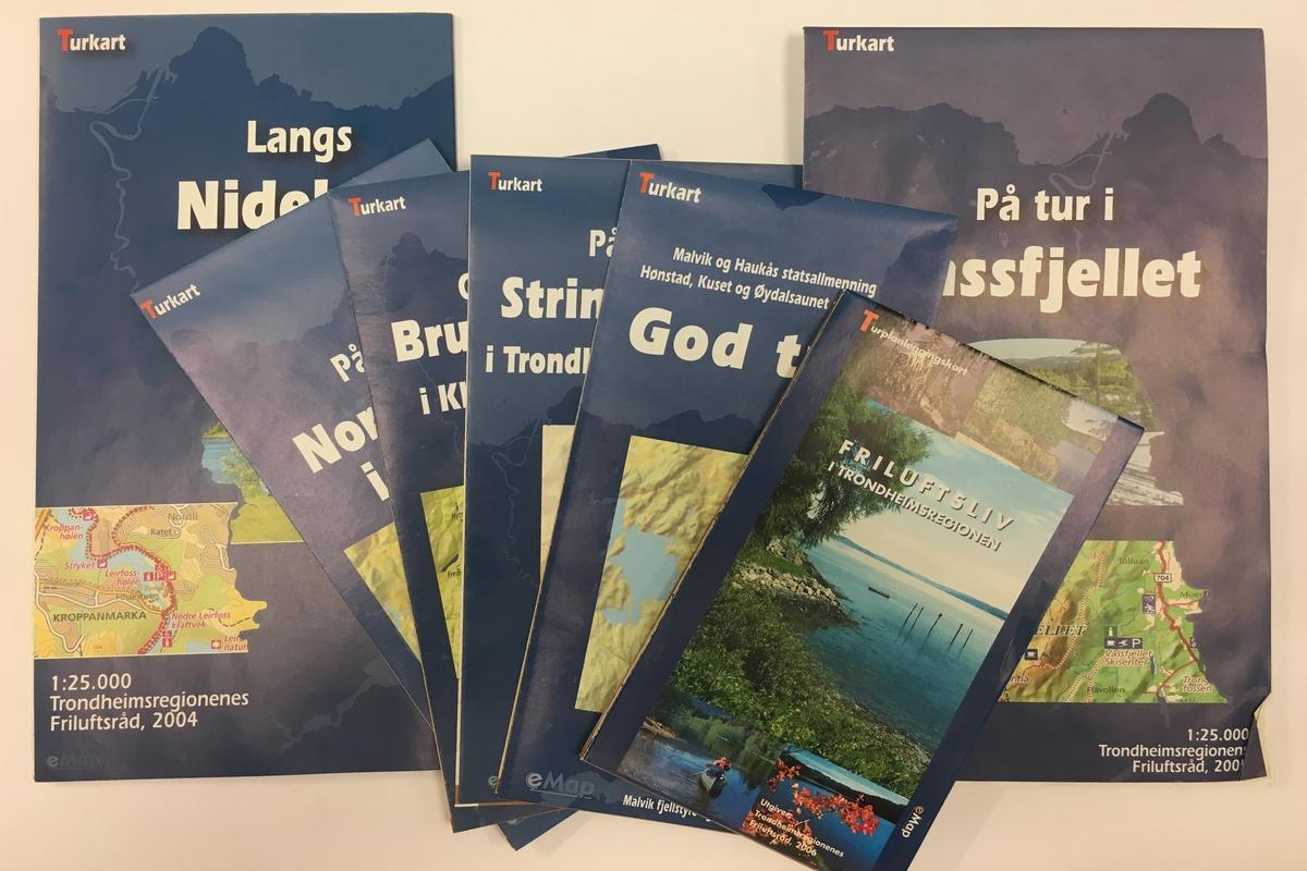 turkart artikkel 1200x800.jpg